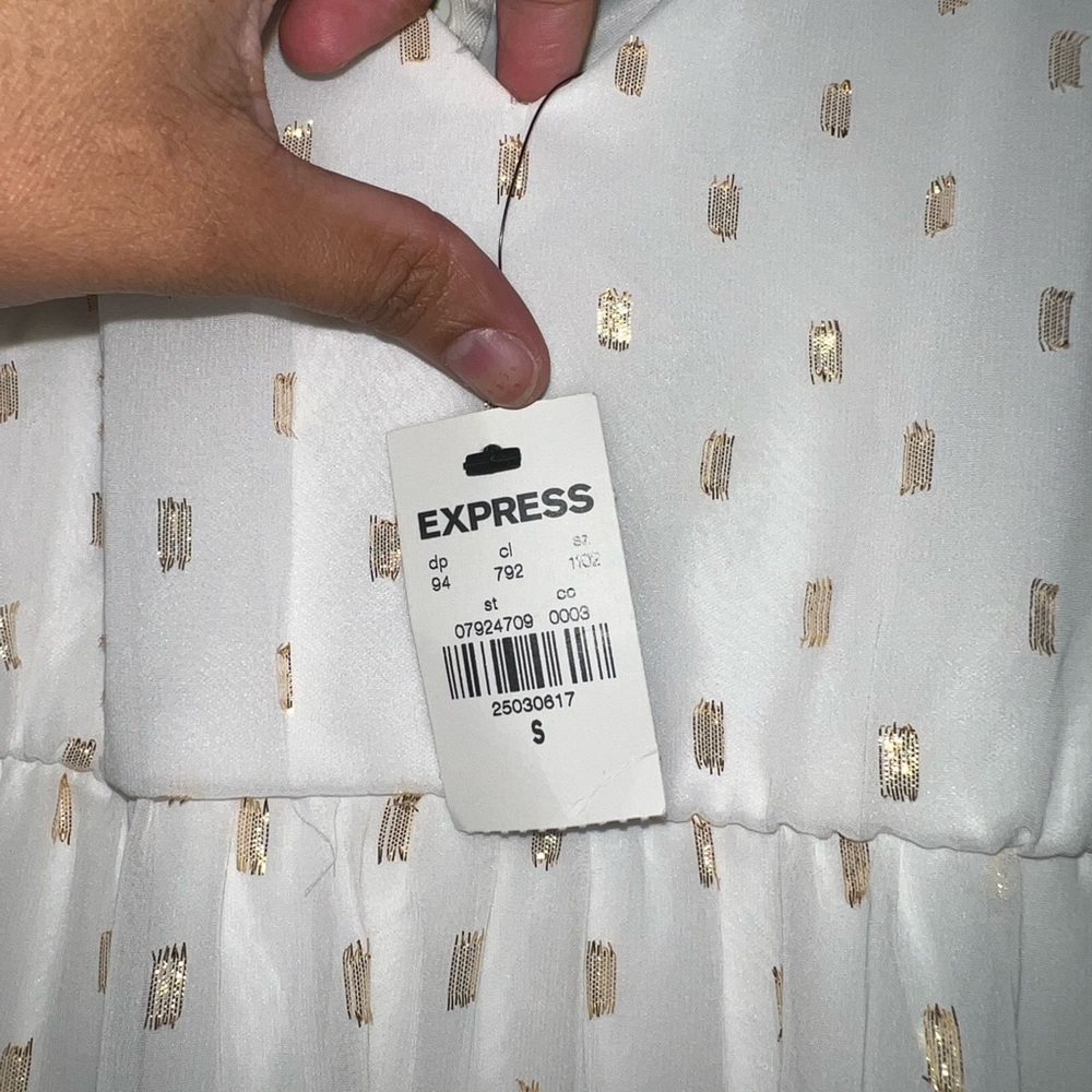 Express Chiffon Maxi Dress - Picture 6 of 7